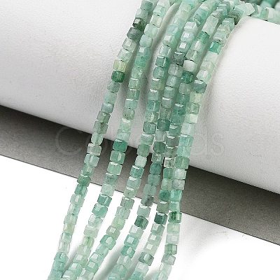 Natural Emerald Quartz Beads Strands G-H042-B32-01-1