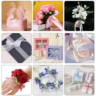 1 Rolls Sheer Organza Ribbon SRIB-CY0001-22B-03-1