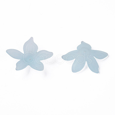 Transparent Acrylic Beads MACR-S373-127-D02-1