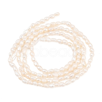Natural Cultured Freshwater Pearl Beads Strands PEAR-D003-01D-02-1