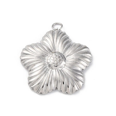 304 Stainless Steel Pendants STAS-Z114-02P-1