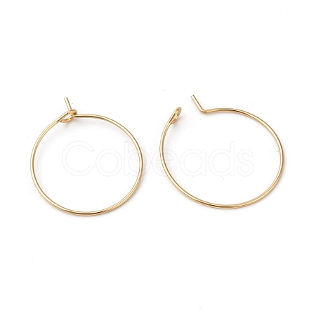 316L Surgical Stainless Steel Hoop Earring Findings STAS-G229-07G-02A-1