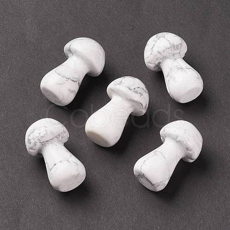 Natural Howlite GuaSha Stone G-A205-25Y-1