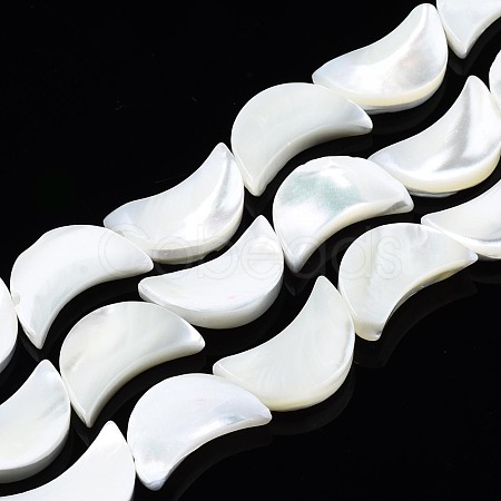 Natural Trochid Shell/Trochus Shell Beads Strands SSHEL-N034-97B-B01-1