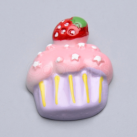 Resin Cabochons CRES-T005-47-1