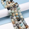Natural Flower Amazonite Beads Strands G-E571-26C-2