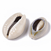 Natural Cowrie Shell Beads X-SSHEL-N034-33-3