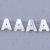 Sea Shell Beads X-SHEL-T012-60A-1