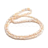 Glass Beads Strands EGLA-P052-03C-05-2