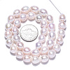Natural Cultured Freshwater Pearl Beads Strands PEAR-N012-09D-5