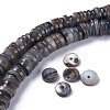 Natural Freshwater Shell Beads Strands X-BSHE-I016-04A-4