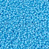 MIYUKI Delica Beads SEED-MY11-DB0879-3