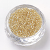 12/0 Grade A Round Glass Seed Beads SEED-Q007-F33-2