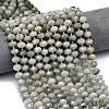 Natural Labradorite Beads Strands G-P573-A55-01-1