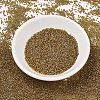 MIYUKI Delica Beads SEED-X0054-DB1738-2