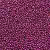 TOHO Round Seed Beads X-SEED-TR11-0563-2