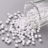 Glass Seed Beads SEED-A010-3mm-41-1