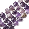 Natural Amethyst Beads Strands G-P570-E17-01-2