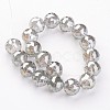 Electroplate Glass Bead Strands EGLA-J140-FR04-14mm-2