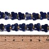 Natural Sodalite Beads Strands G-N371-10A-03-5