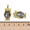 Natural Labradorite Pendant KK-F887-02G-09-3