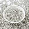 MIYUKI Round Rocailles Beads X-SEED-G008-RR0181-2