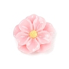 Opaque Resin Cabochons CRES-D283-01C-02-1