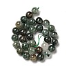 Natural Fuchsite Beads Strands G-K285-40C-1-3