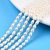 Natural Cultured Freshwater Pearl Beads Strands PEAR-N012-03E-1