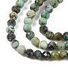 Natural African Turquoise(Jasper) Beads Strands G-P472-01-4