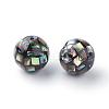 Natural Paua Shell Beads SSHEL-Q298-16mm-09-2