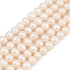 Natural Cultured Freshwater Pearl Beads Strands PEAR-I007-07J-06B-2