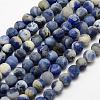 Natural Sodalite Beads Strands G-J364-01-6mm-1