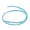 Dyed Natural Howlite Beads Strands G-H255-19-3