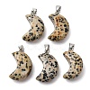 Natural Dalmatian Jasper Pendants G-F820-02L-16-1