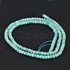 Faceted Rondelle Natural Amazonite Bead Strands G-F289-06-2