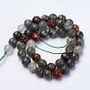 Natural African Bloodstone Beads Strands G-S281-21-6mm-2