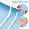 1 Strand Natural Cultured Freshwater Pearl Beads Strands PEAR-PH0001-16-4