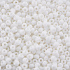 6/0 Glass Seed Beads SEED-T005-14-B16-4