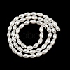 Electroplated Shell Pearl Beads Strands BSHE-H113-06C-06-2