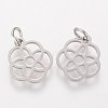 Tarnish Resistant 304 Stainless Steel Pendants STAS-Q201-T454S-2