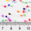 Two Cut Glass Seed Beads SEED-T005-02-2