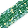Transparent Glass Beads Strands EGLA-A044-T2mm-MB18-1