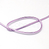 Anodized Aluminum Wire AW-S001-1.0mm-06-2