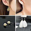 20Pcs 2 Styles 925 Sterling Silver Flat Coil Earwire STER-TA0001-38-8