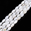 Natural Freshwater Shell Beads Strands SHEL-N026-212-A01-1
