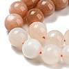 Natural Multi-Moonstone Beads Strands G-P503-10MM-04-4