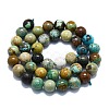 Natural Turquoise Beads Strands G-K245-A16-05-2