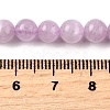 Natural Kunzite Beads Strands G-D856-03-6mm-01-5