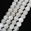 Natural White Moonstone Beads Strands G-J373-13-8mm-2